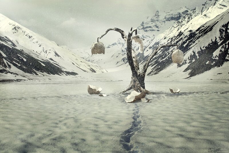 Desolate tree in snowy valley