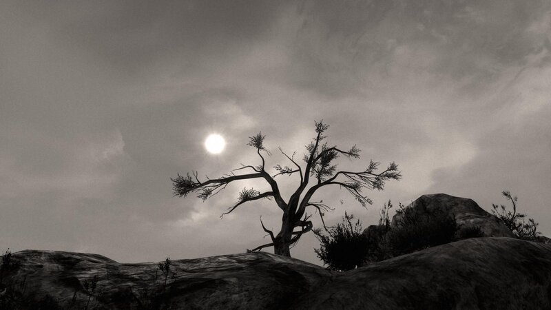 Desolate tree under bright sun
