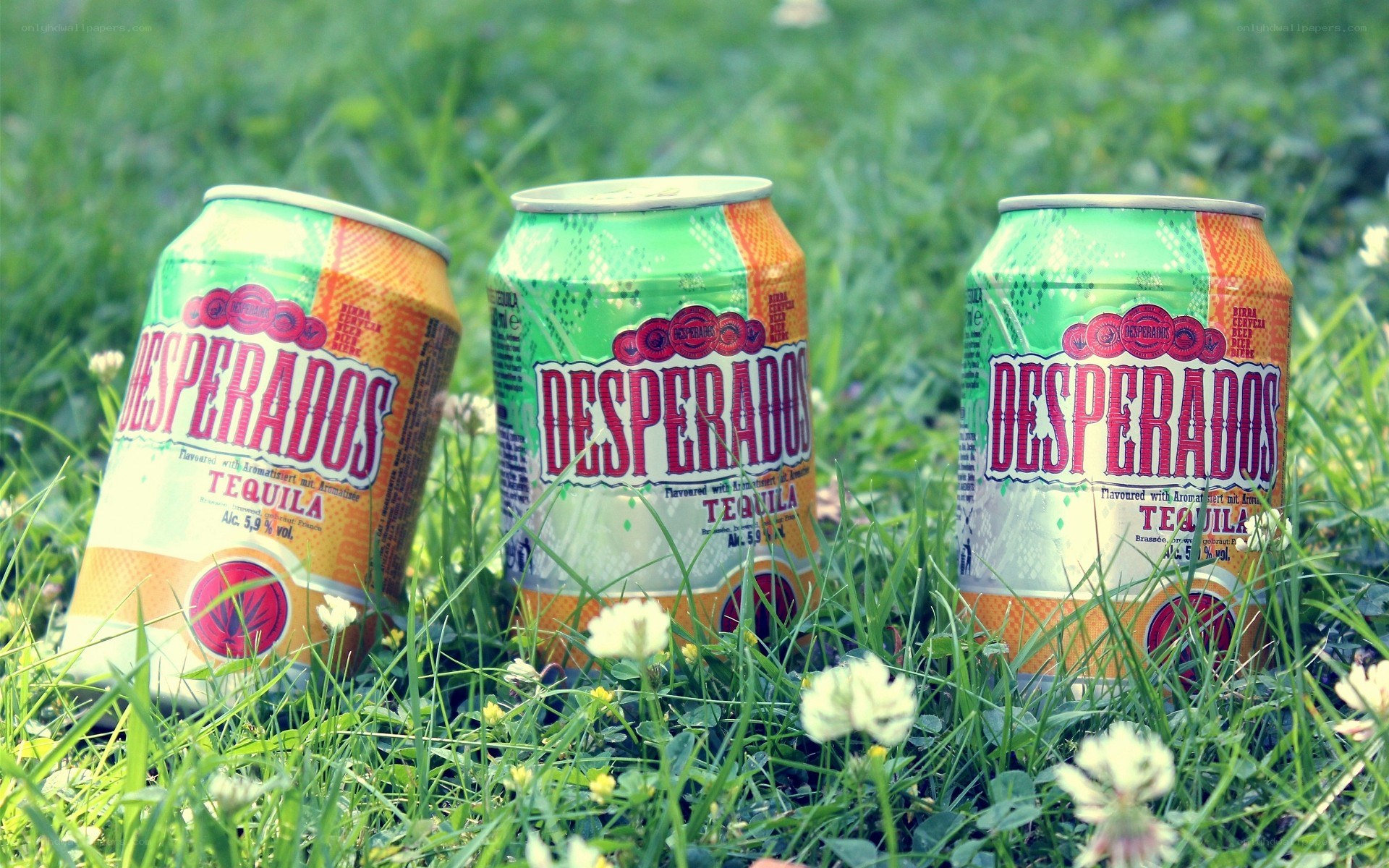 Desperados cans in grass