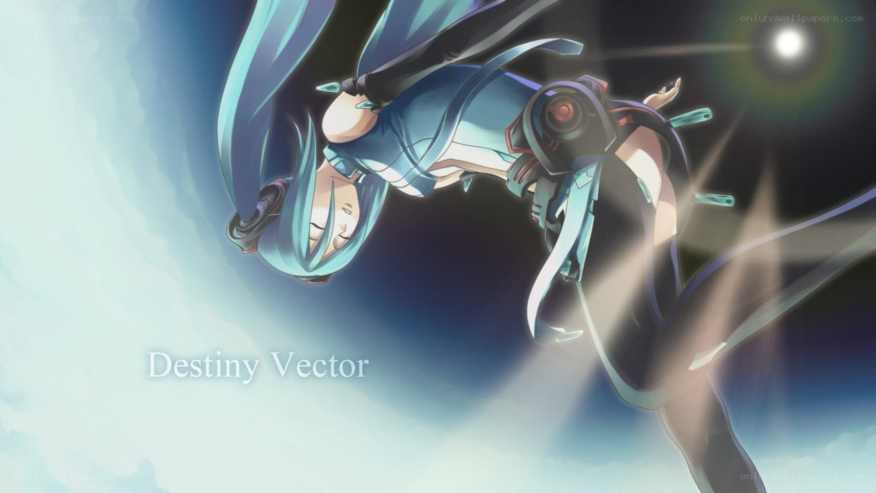 Destiny Vector artwork