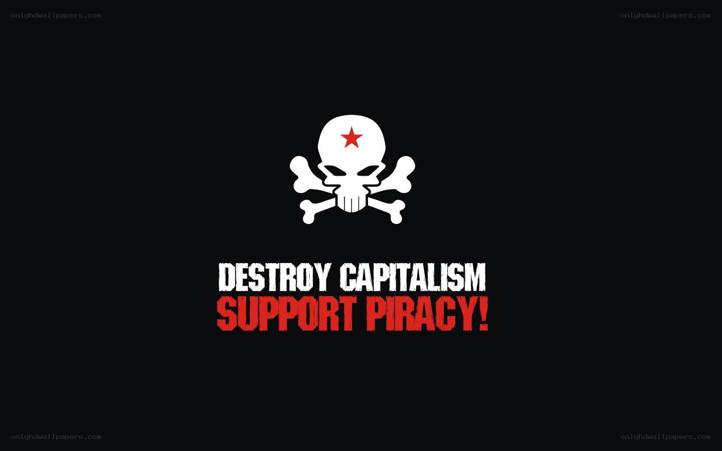 Destroy Capitalism Support Piracy