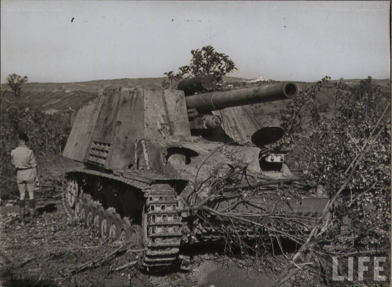 Destroyed tank in field