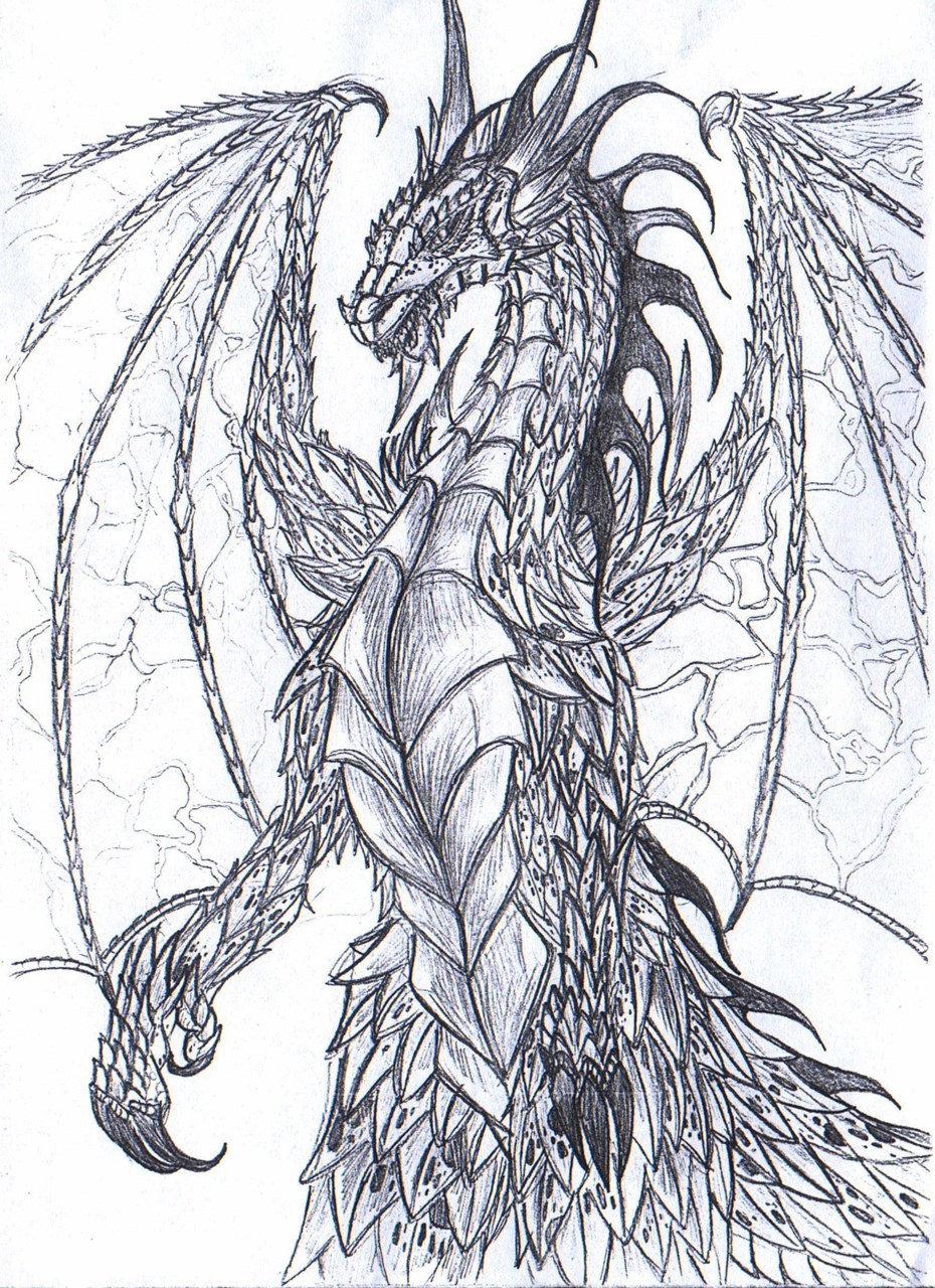 detailed dragon sketch