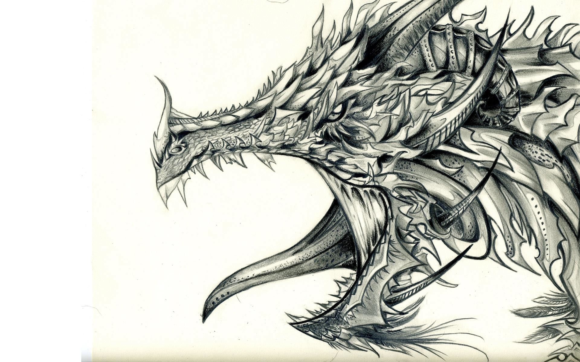 detailed dragon sketch