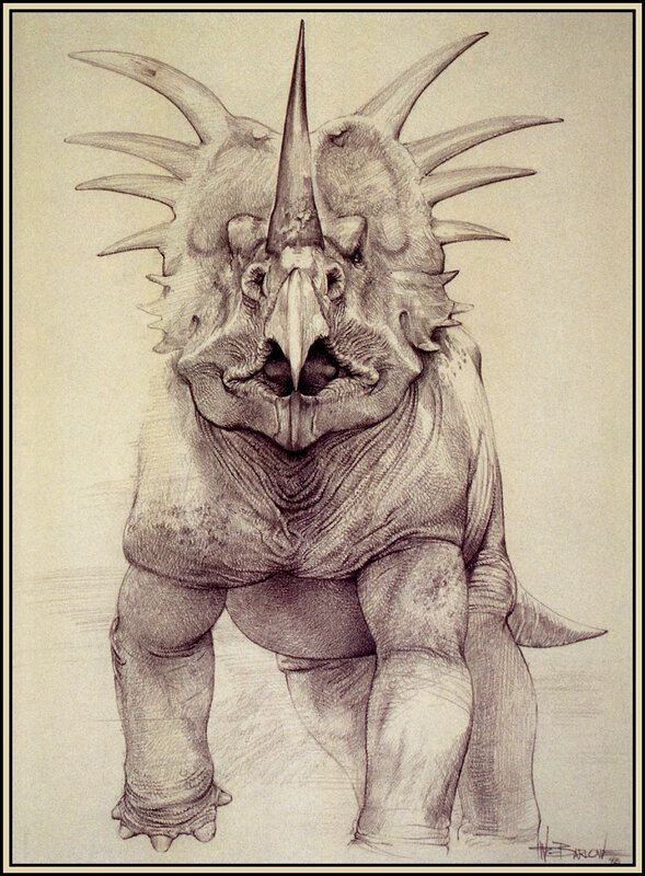 detailed triceratops sketch