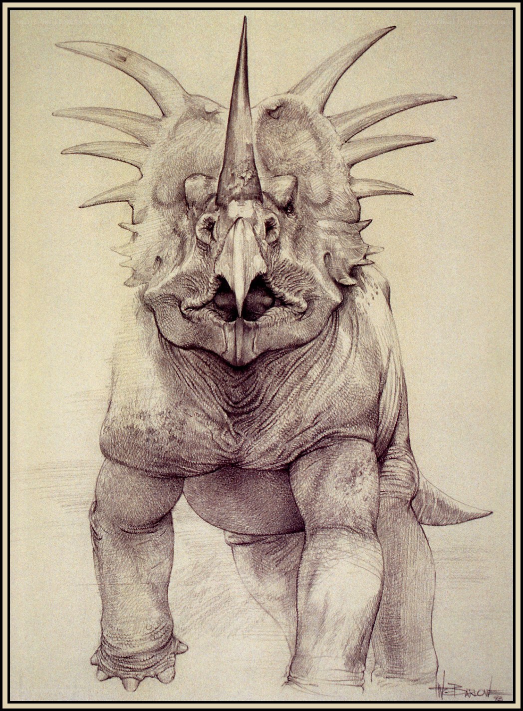 detailed triceratops sketch