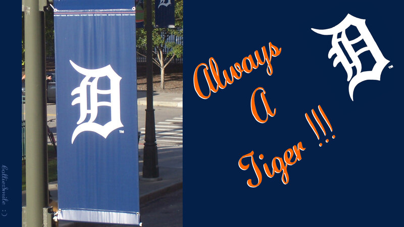 Detroit Tigers Banner