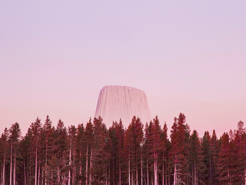 Devils Tower in Forest