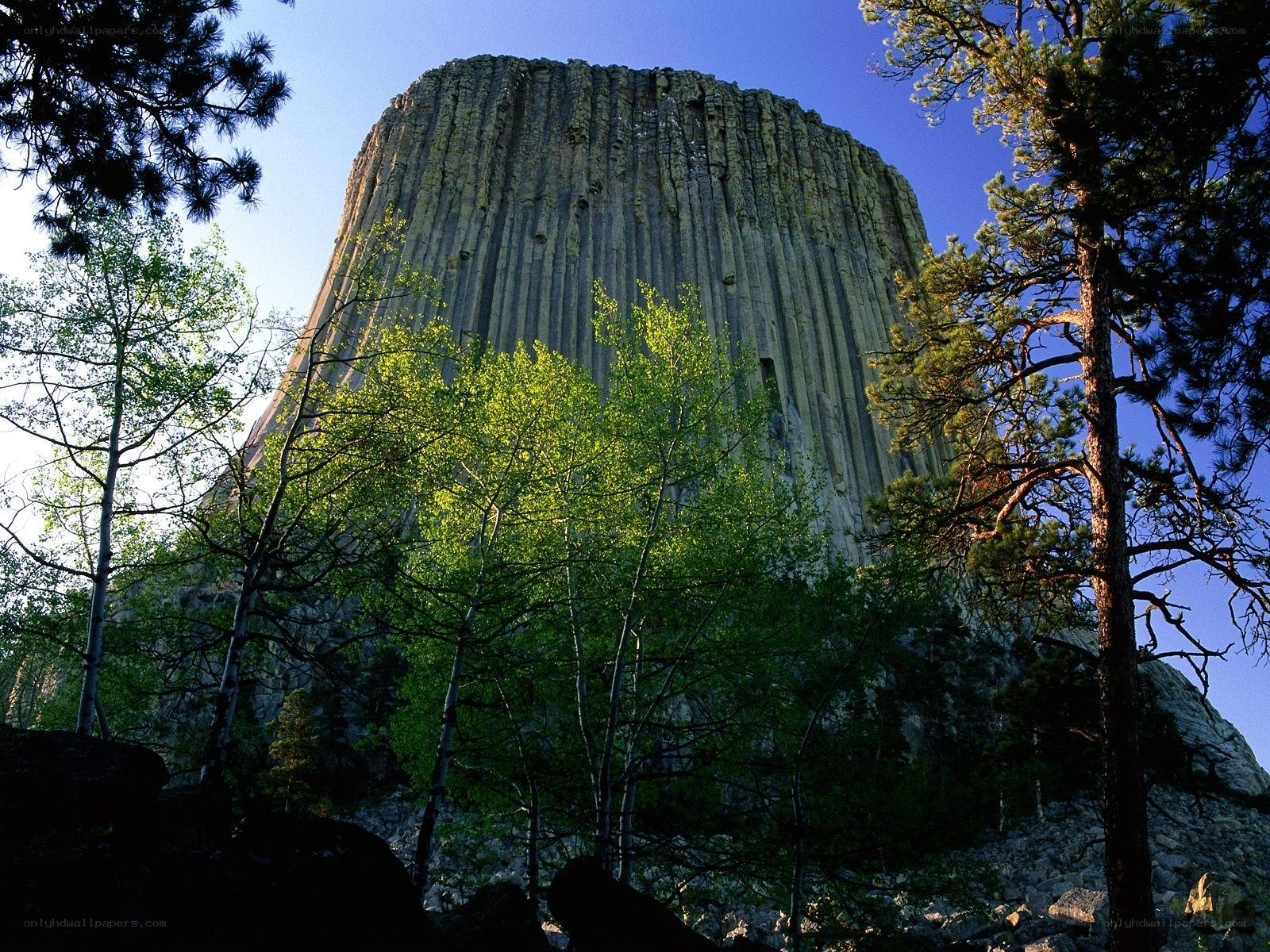 Devils Tower National Monument