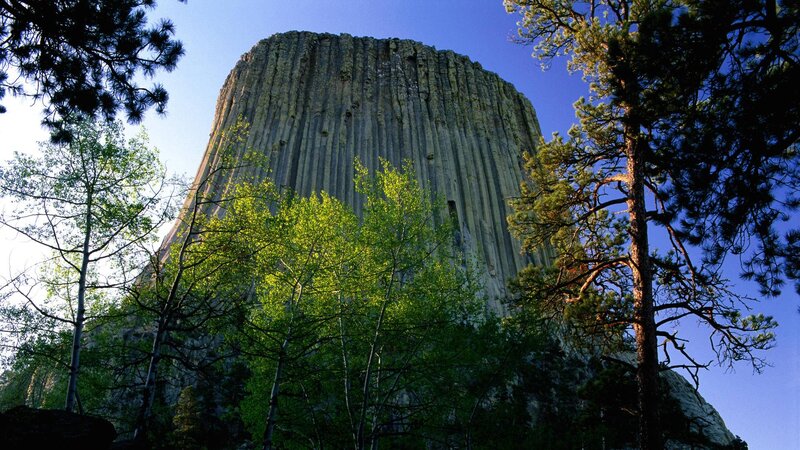 Devils Tower Rock Formation — Green, Serene, Afternoon, Photograph, Trees, Sky