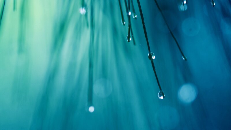 Dew Drops on Grass — Blue, Serene