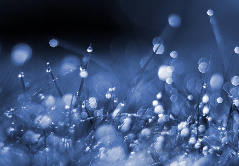 Dew Drops on Grass — Blue