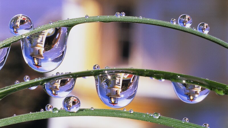 Dew drops on grass with lighthouse reflection