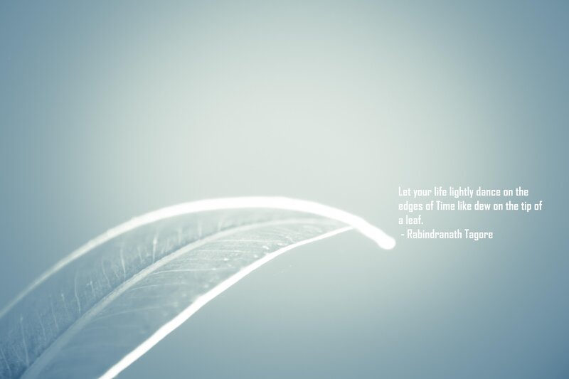 dew on a leaf quote