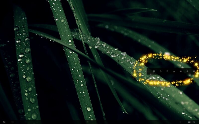 Dew on green grass