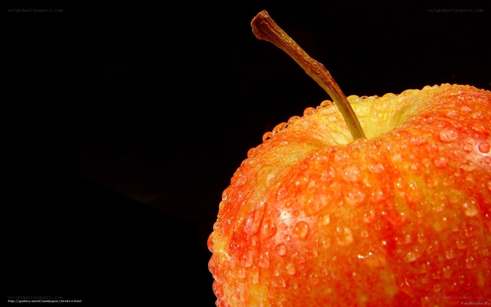 dewy apple on black background