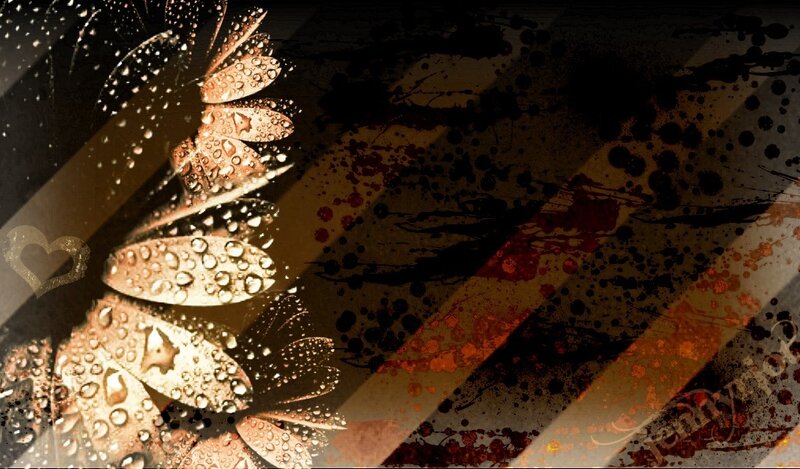 dewy flower with abstract background