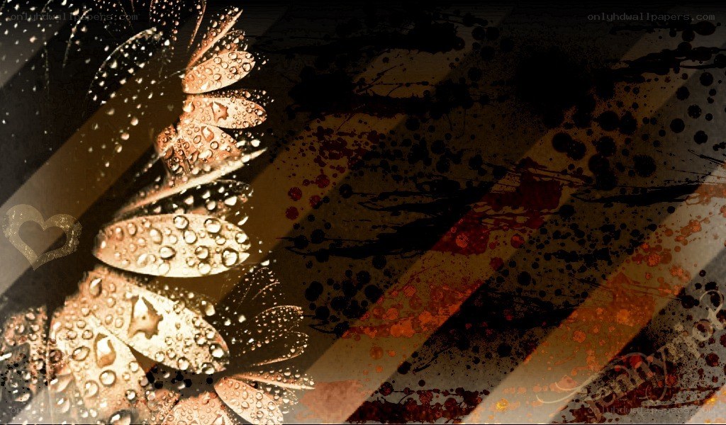 dewy flower with abstract background