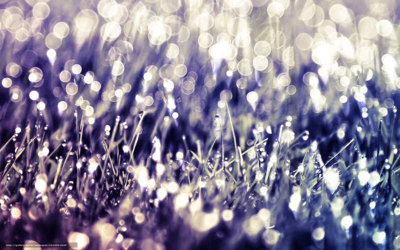 Dewy grass with bokeh lights