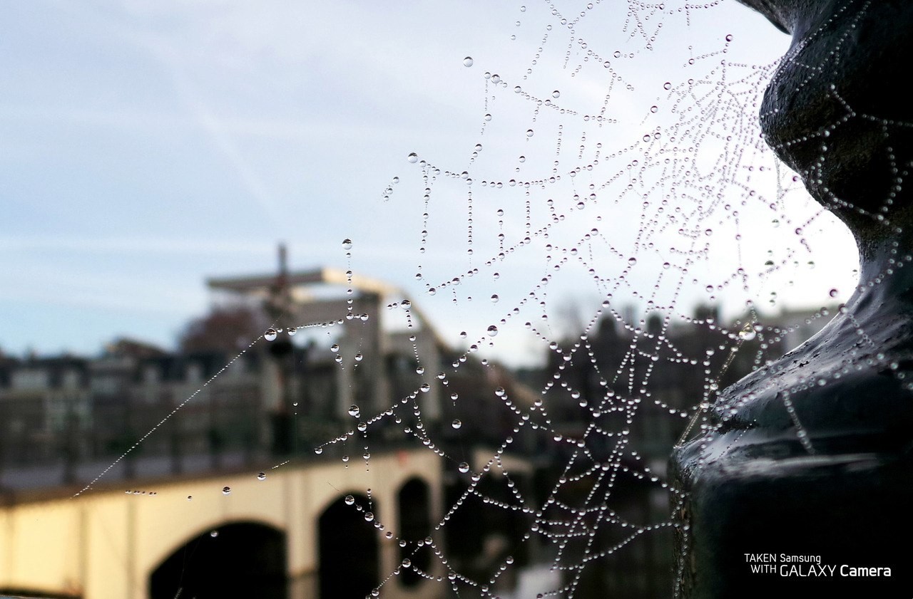 Dewy spiderweb on a statue