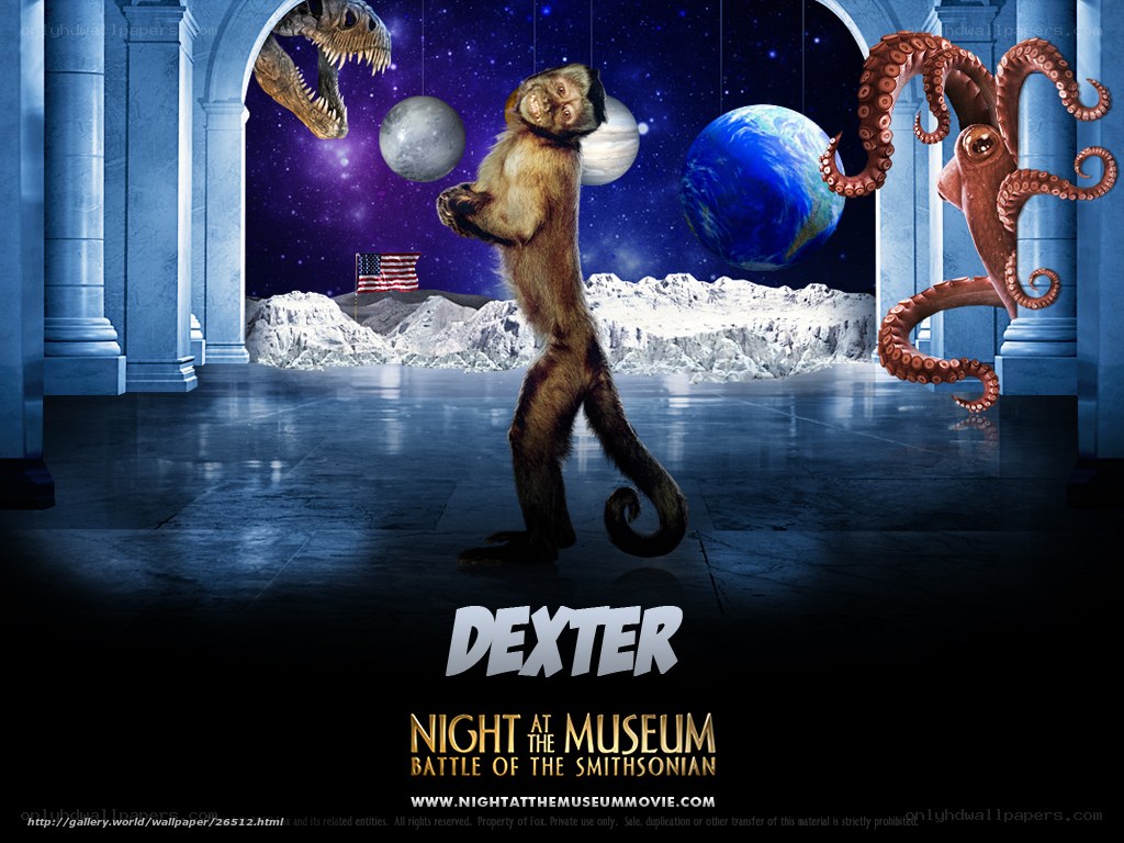 Dexter the monkey at the museum