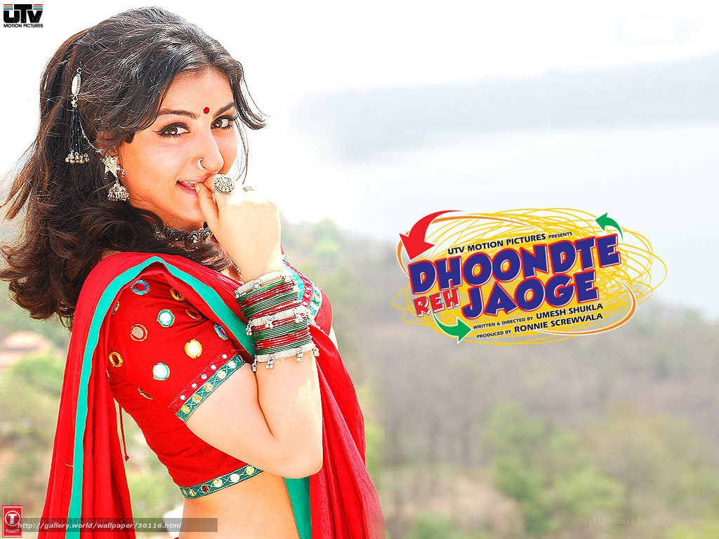 Dhoondte Reh Jaoge movie poster