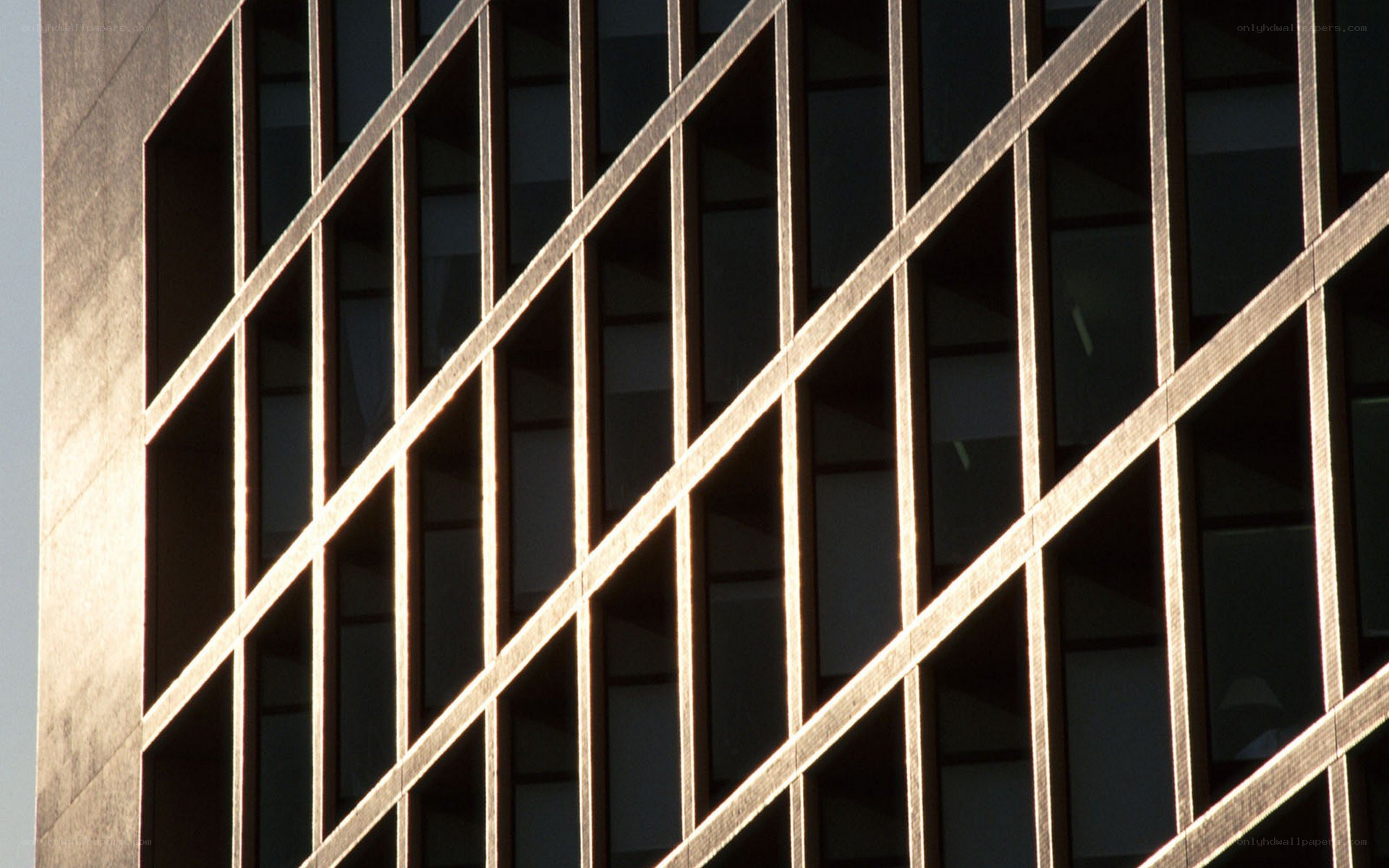 diagonal window grid facade