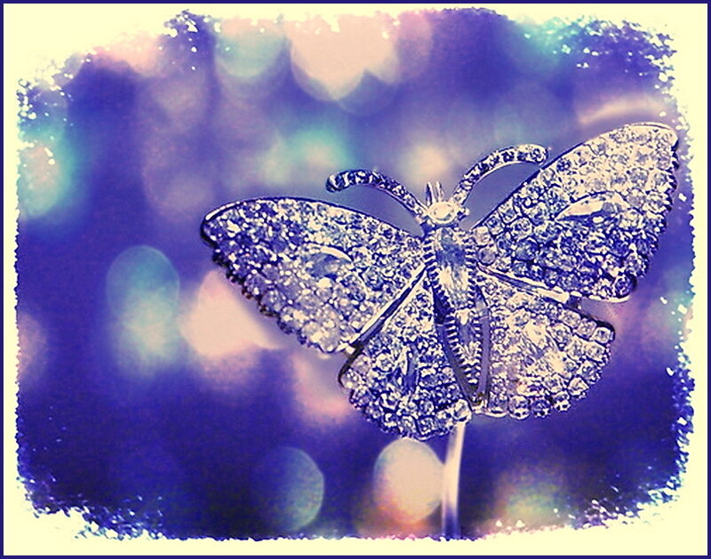 Diamond Butterfly Brooch