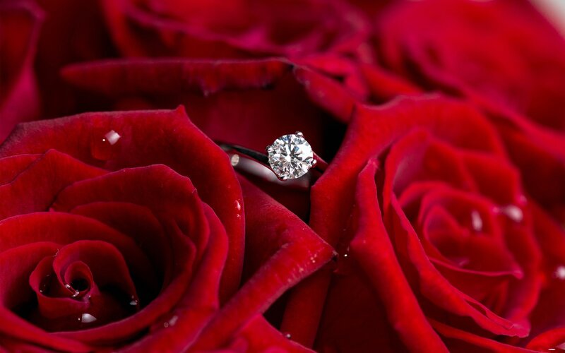 diamond ring on red roses