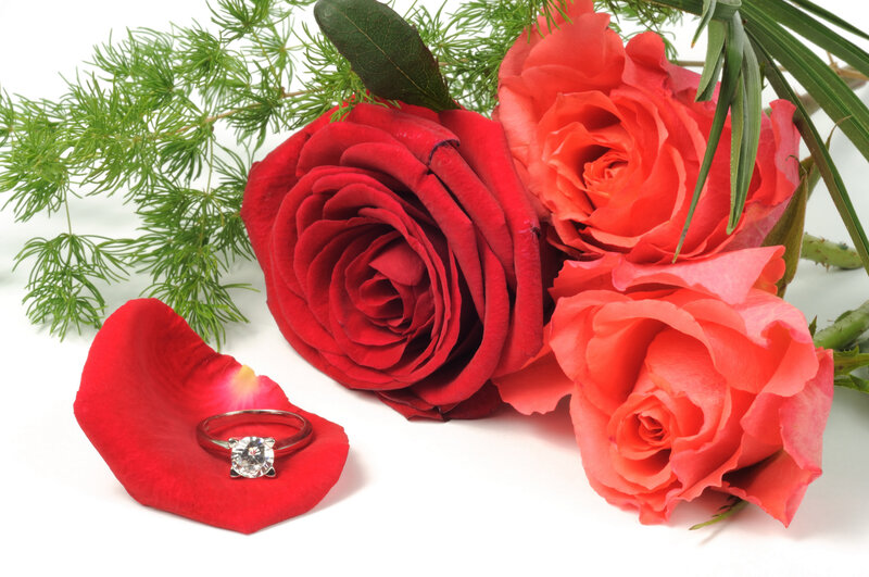 Diamond Ring on Rose Petal