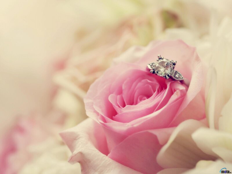 Diamond Ring on Rose