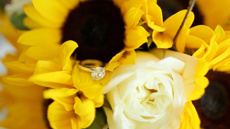 Diamond Ring on Sunflower