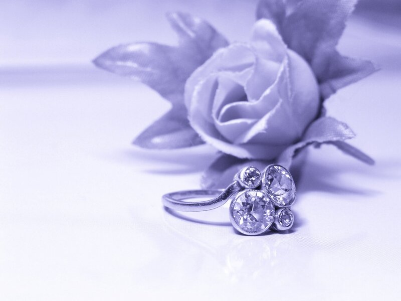 Diamond Ring with Rose — Purple, Serene, Photograph