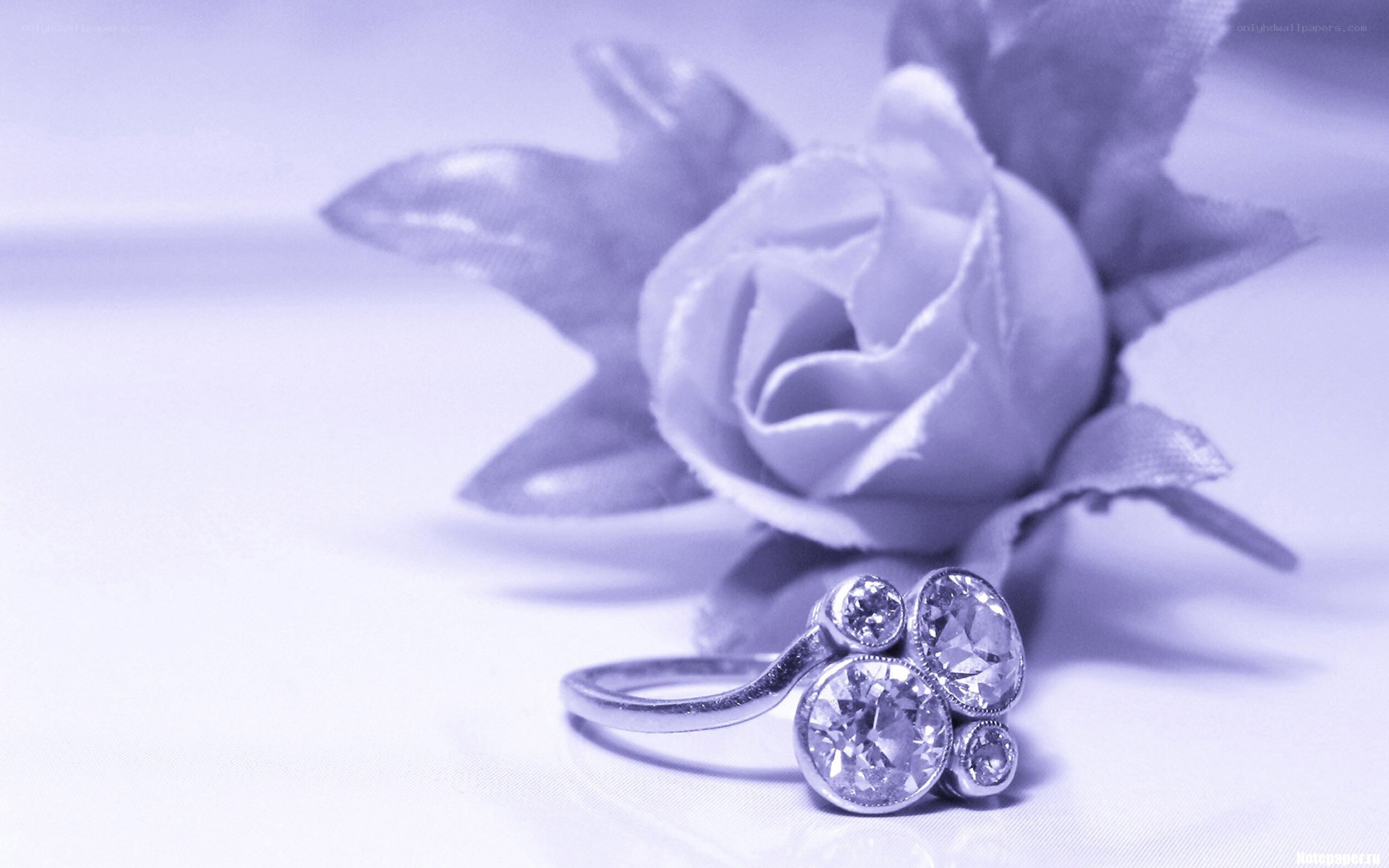 diamond ring with rose