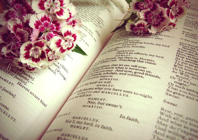 Dianthus Flowers on Book