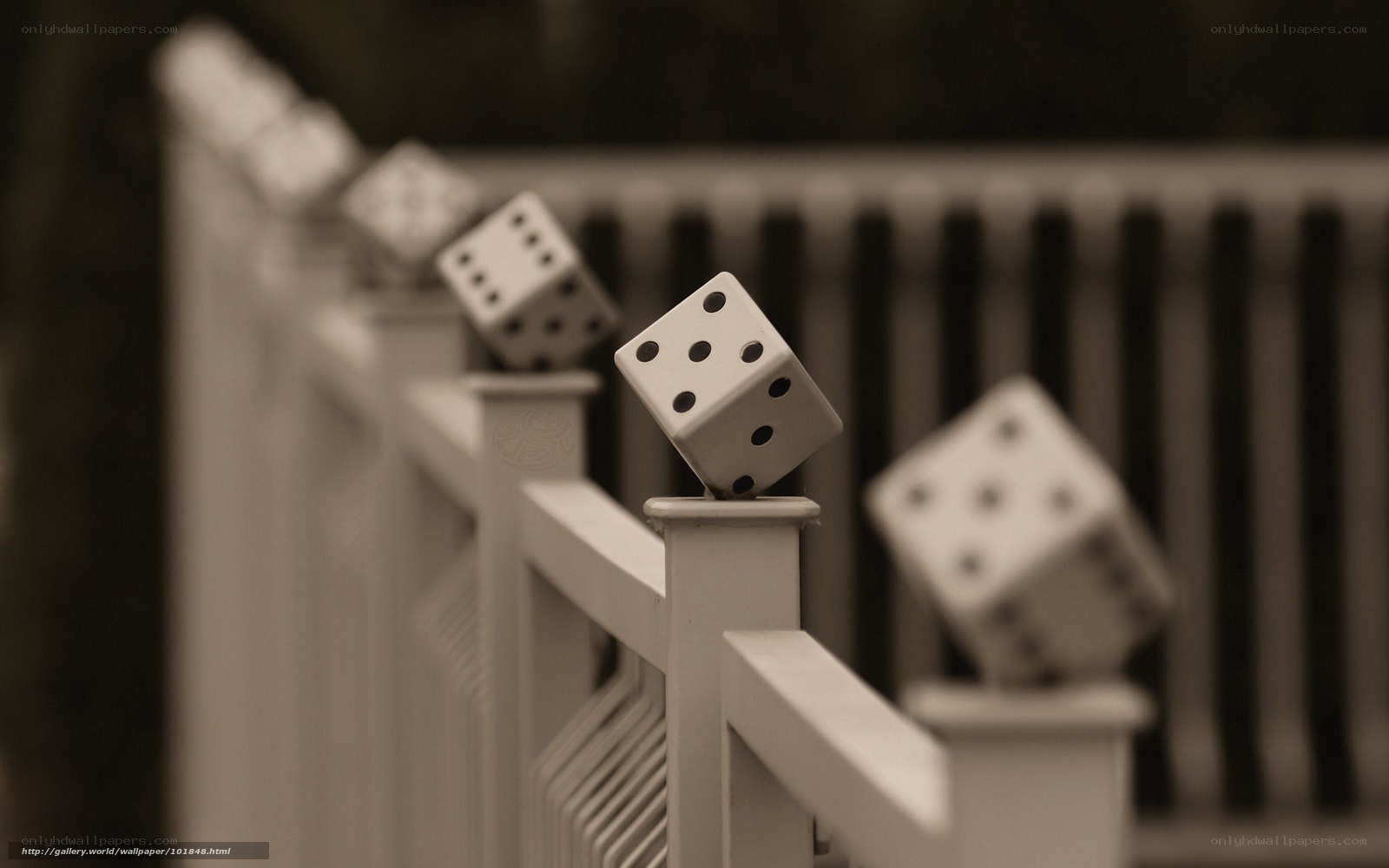 Dice on a railing