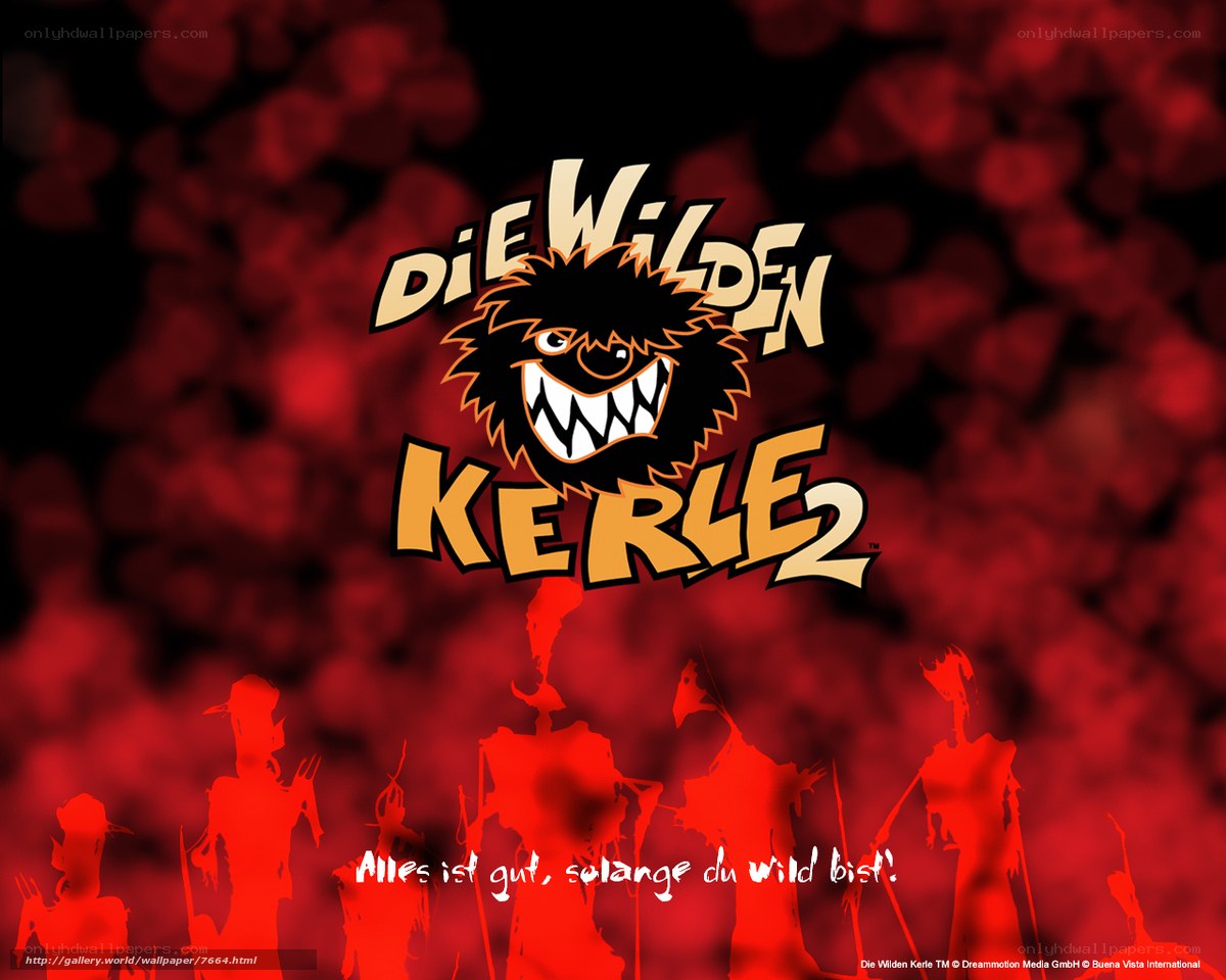 Die Wilden Kerle 2 logo