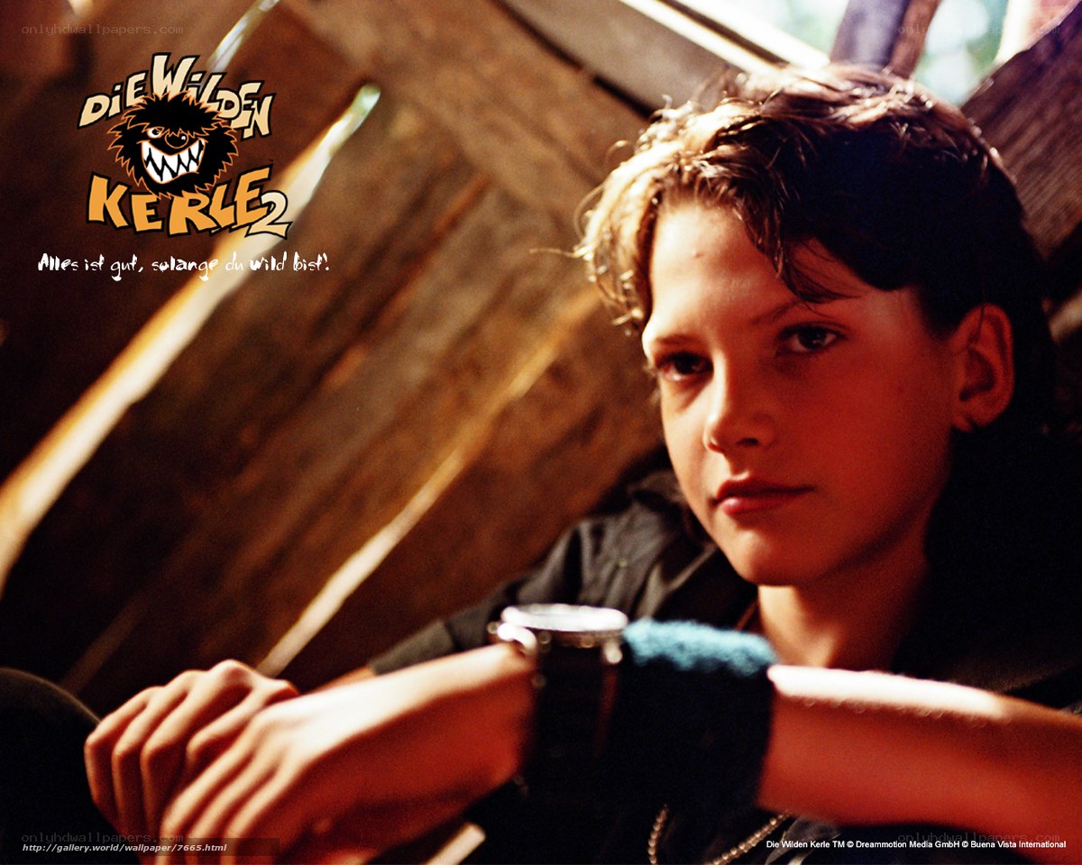 Die Wilden Kerle 2 movie still