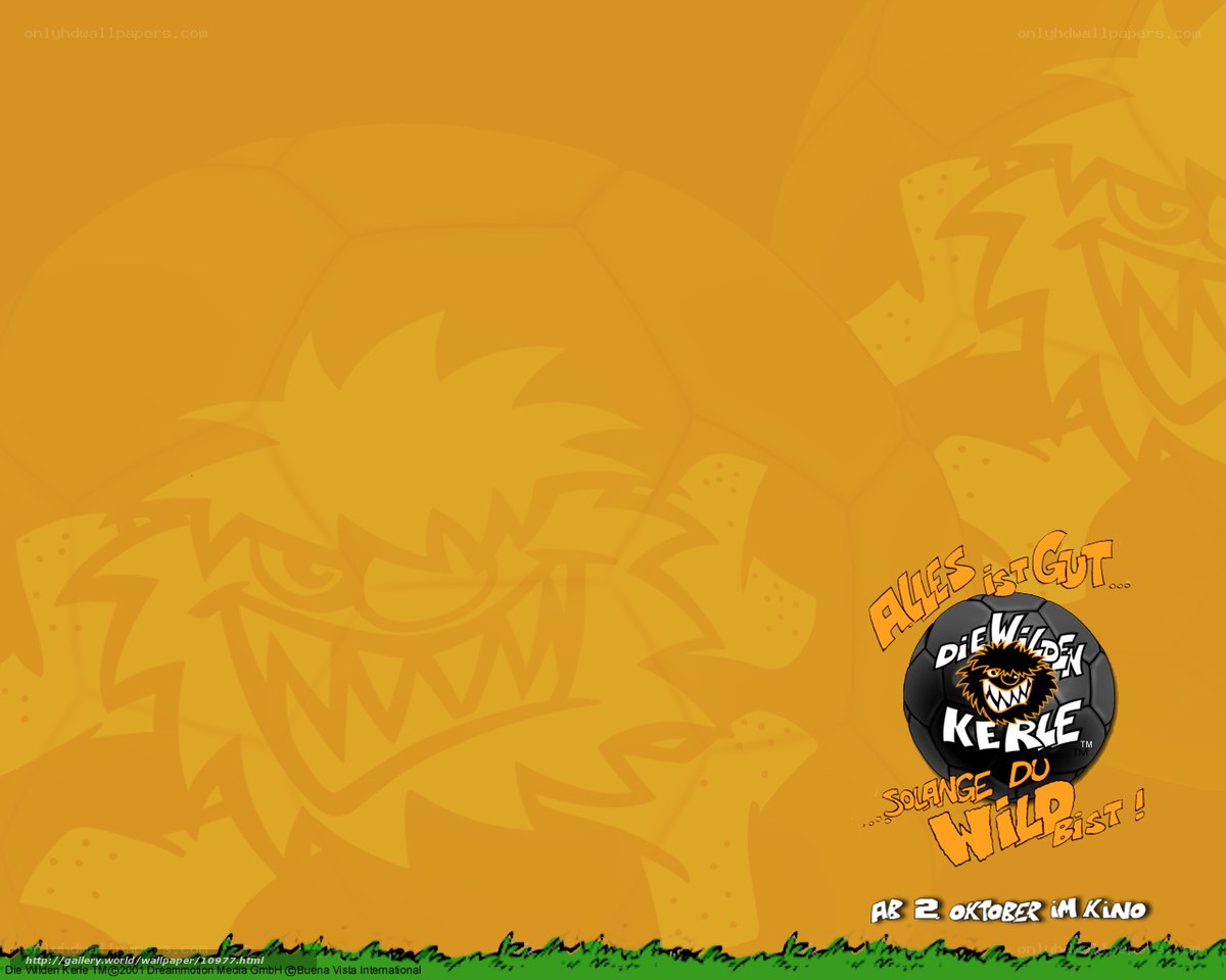 Die Wilden Kerle movie wallpaper