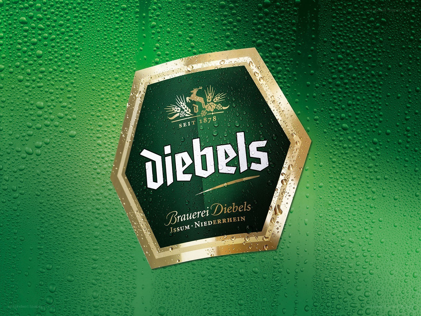 Diebels beer label on green surface