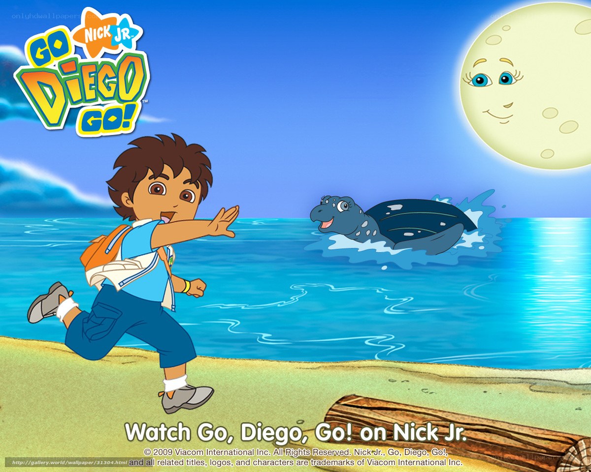 Diego and sea turtle on beach