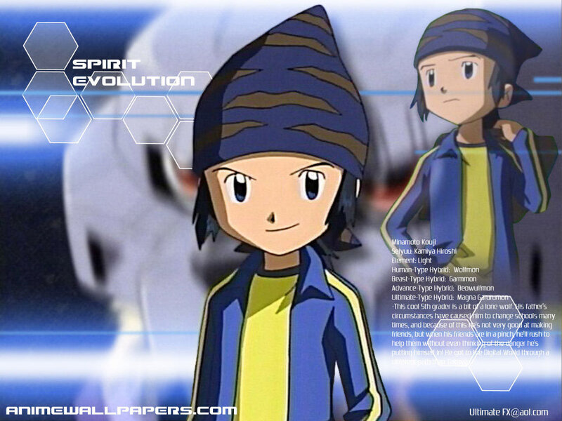Digimon Spirit Evolution character