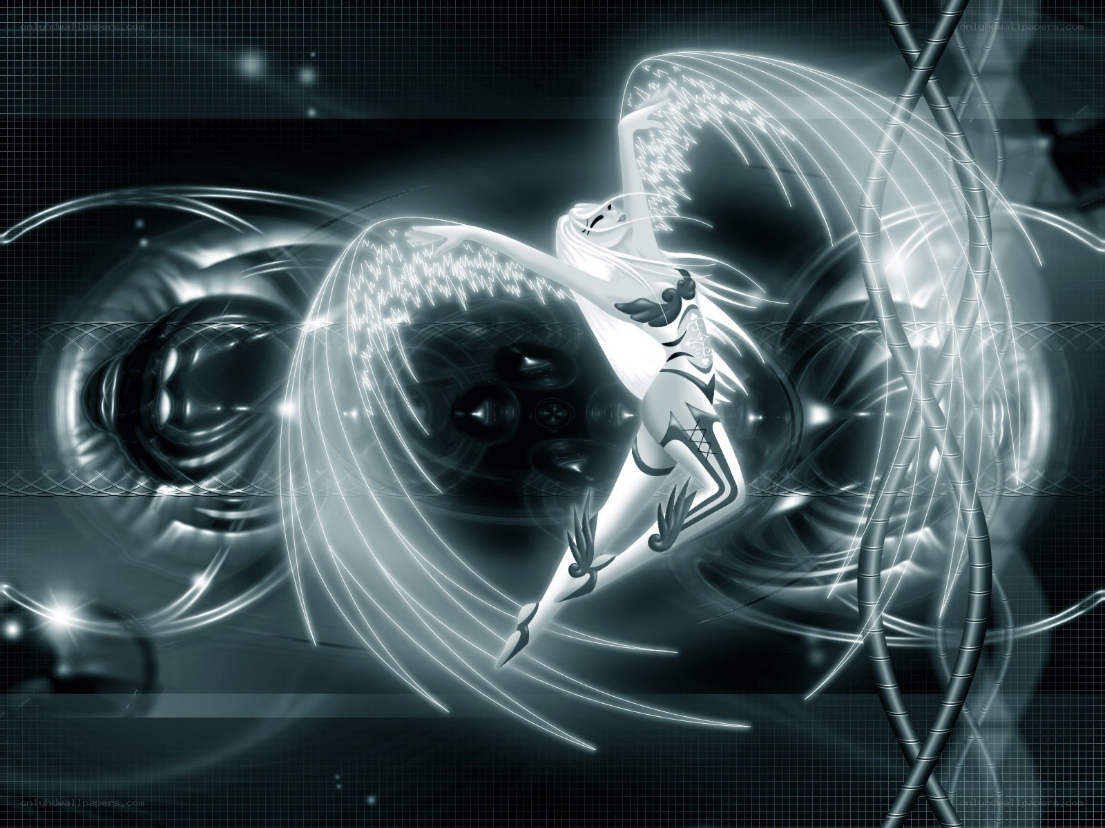 digital angel in motion