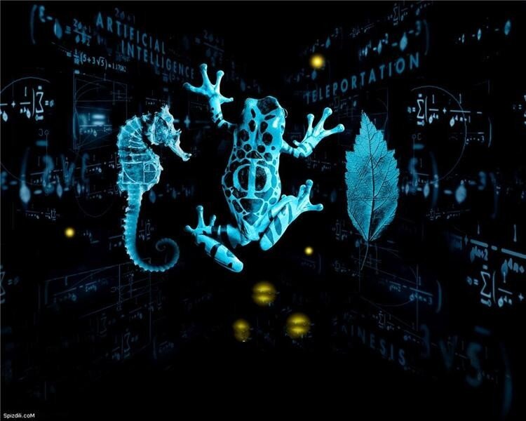 digital animals and math symbols