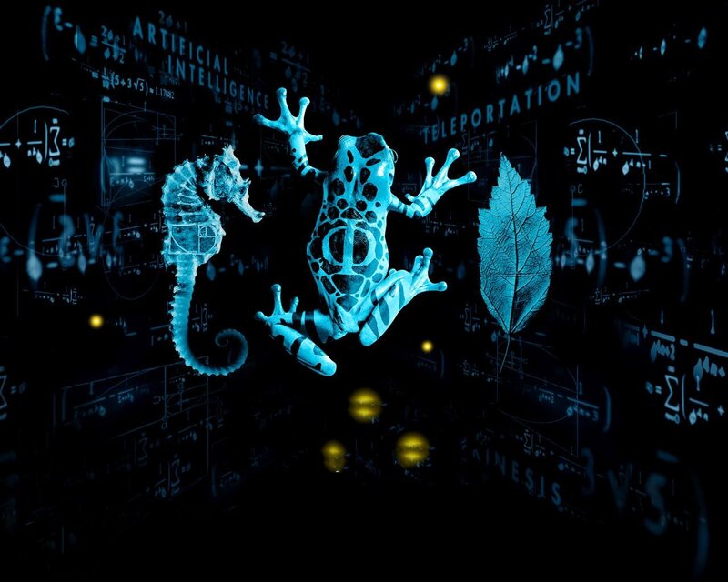 Digital animals with math formulas