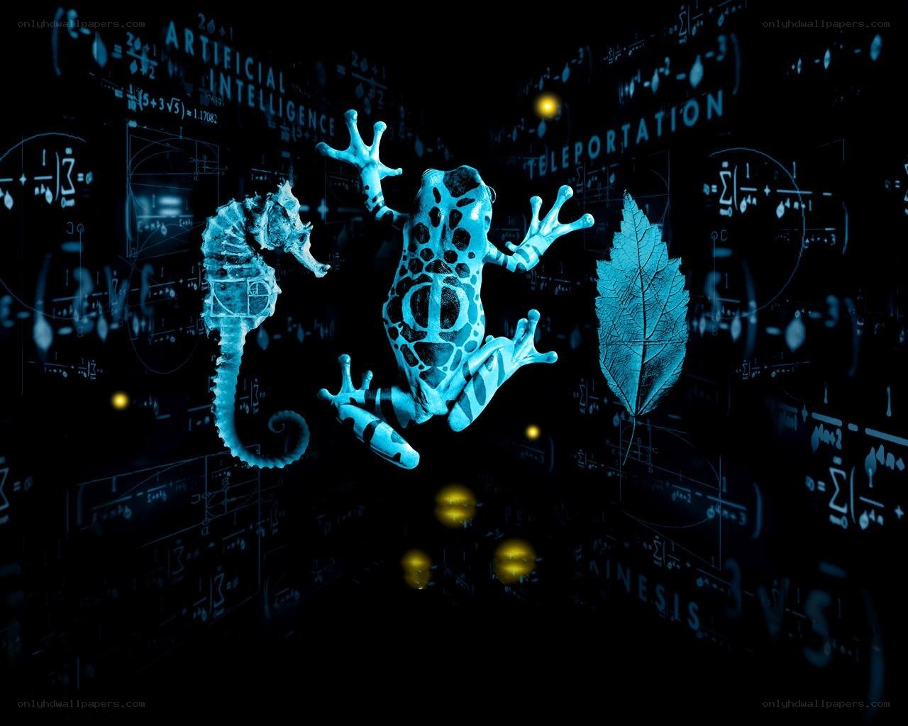 Digital animals with math formulas