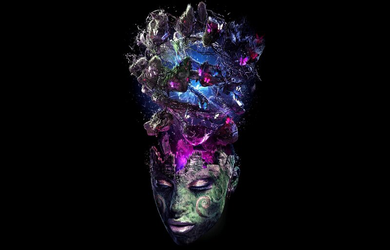 digital art of a face with nature elements