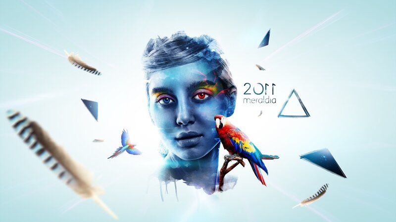digital art with parrot and face