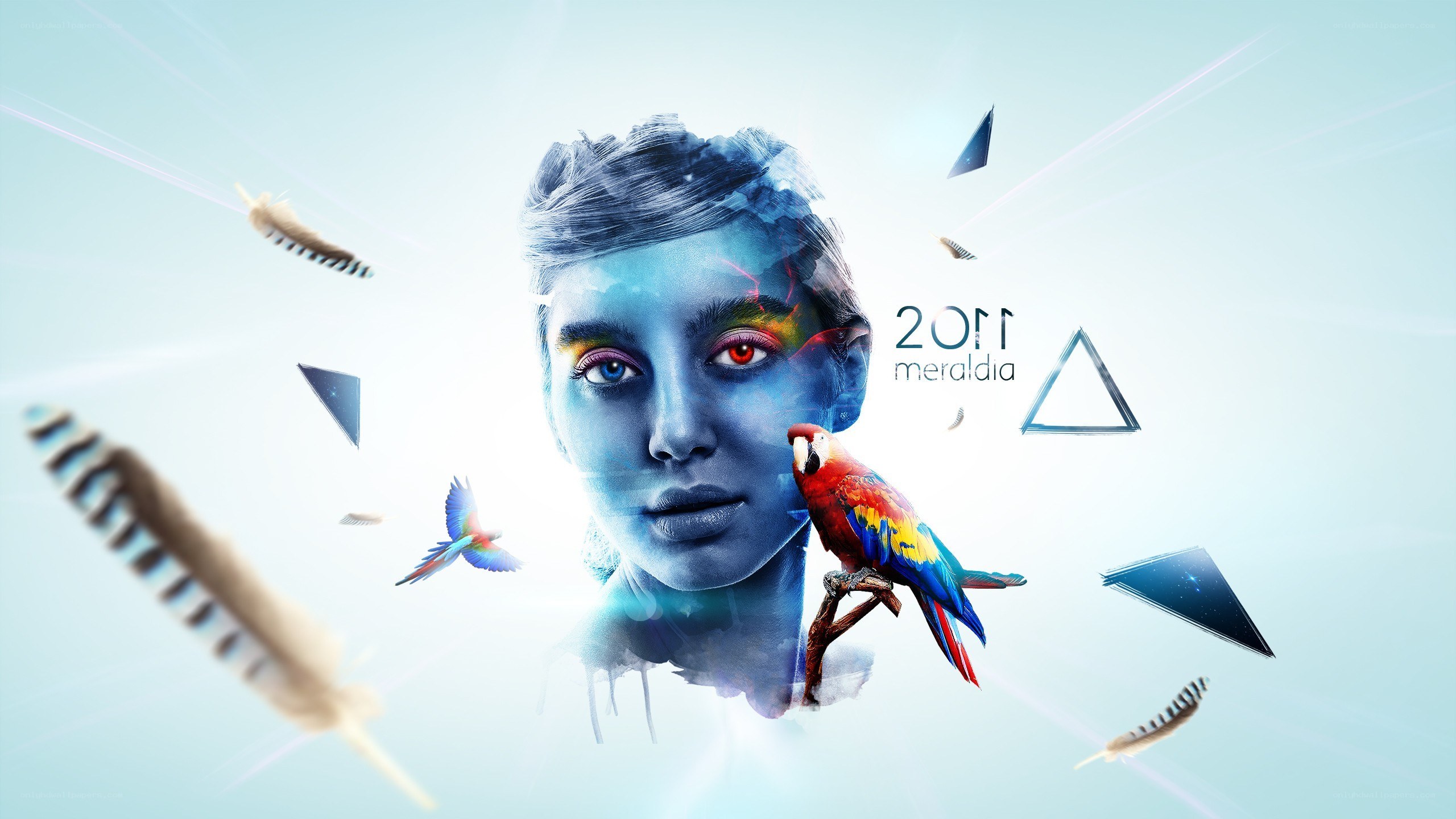 digital art with parrot and face