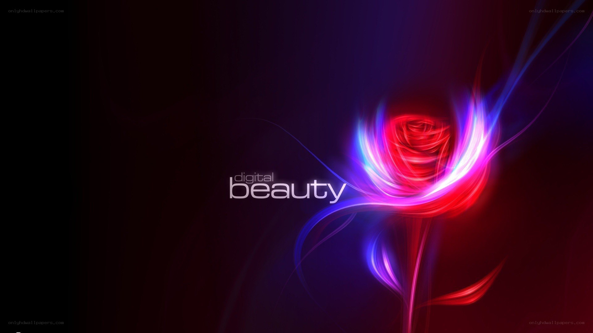 digital beauty abstract art